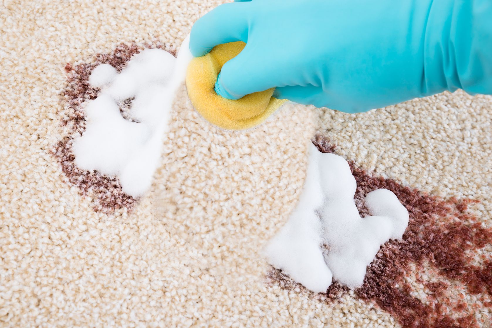 Carpet cleaning near me